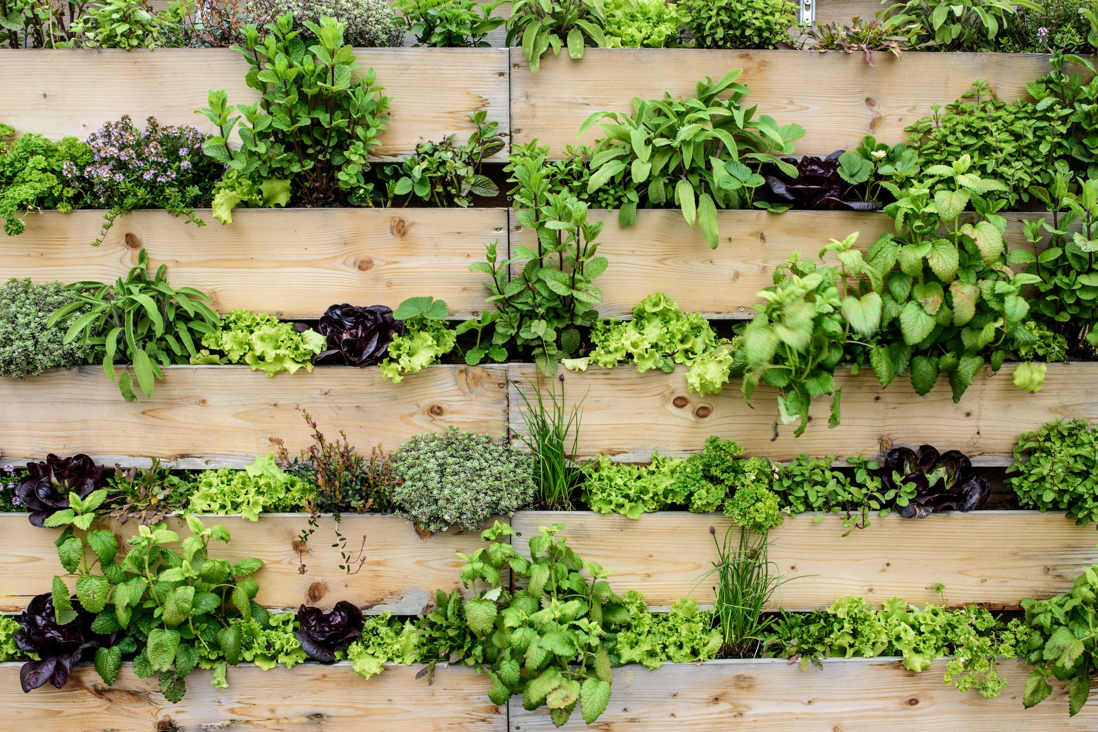 Vertical garden